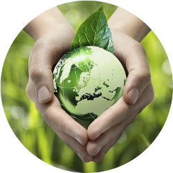 envirosax-eco